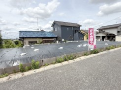 B号地