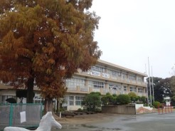 千葉市立作新小学校
