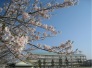 匝瑳市立八日市場第一中学校 645m