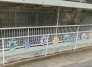 保育園