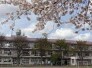 富里市立富里小学校 1230m