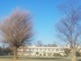 四街道市立四街道小学校 1600m