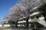 船橋市立古和釜中学校 1220m