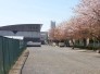 八街市立八街北中学校 3000m