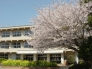 成田市立中台小学校 350m