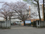 千葉市立こてはし台小学校 1100m