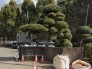酒々井町立酒々井中学校 2480m